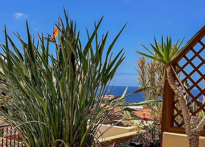 Διαμέρισμα Terrazas Del Duque Ii Hideaway